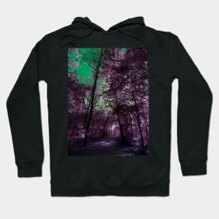 Majestic Fantasy Fall Wooded Trail Scene with Pink Foliage - Indian Creek Trail Kansas City Hoodie